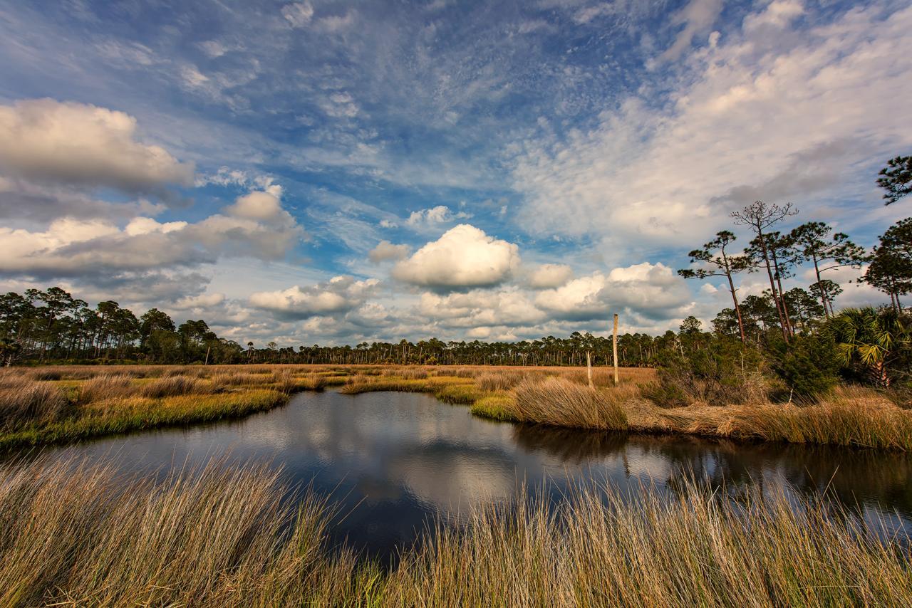 Steinhatchee River Inn And Marina ภายนอก รูปภาพ